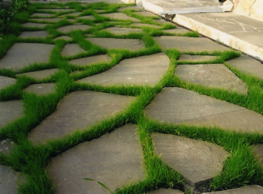 Картинка - 4.