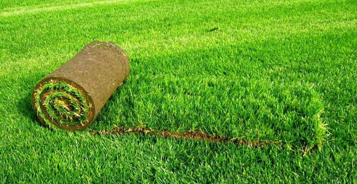 Укладка рулонного газона